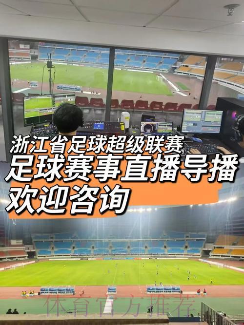 2008年世界杯足球赛全程直播及精彩赛事深度解析